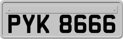 PYK8666