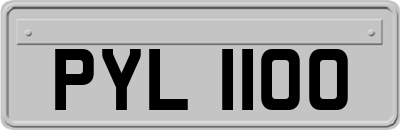 PYL1100