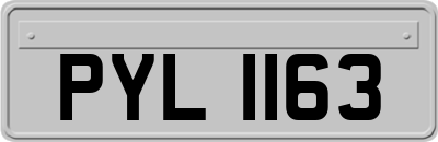 PYL1163