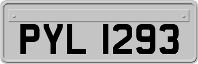 PYL1293