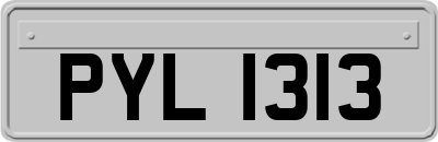 PYL1313