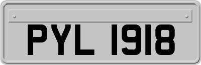 PYL1918