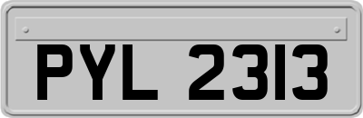 PYL2313