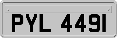 PYL4491