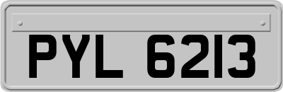 PYL6213