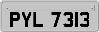 PYL7313