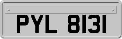 PYL8131