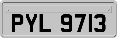 PYL9713