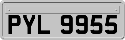 PYL9955