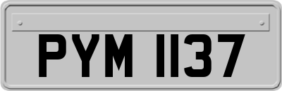 PYM1137