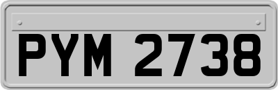 PYM2738