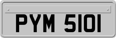 PYM5101