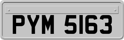 PYM5163