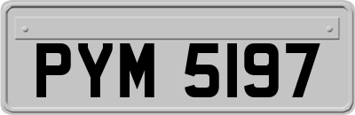 PYM5197