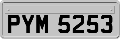 PYM5253