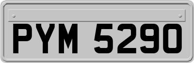 PYM5290