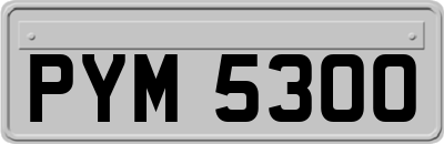 PYM5300