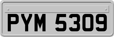 PYM5309