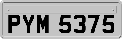 PYM5375