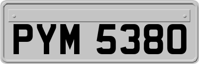 PYM5380