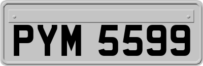 PYM5599