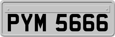 PYM5666