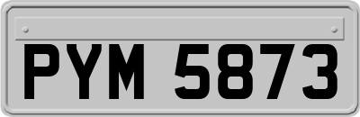 PYM5873