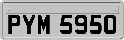 PYM5950