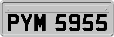 PYM5955