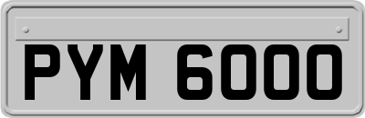 PYM6000