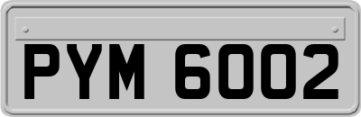 PYM6002