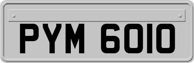 PYM6010