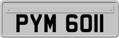 PYM6011