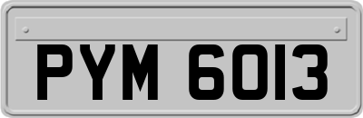 PYM6013