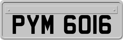 PYM6016