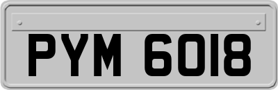 PYM6018