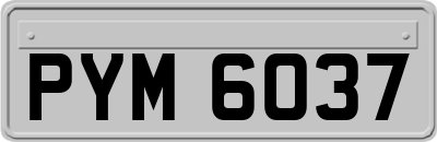 PYM6037