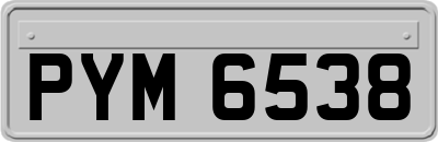 PYM6538