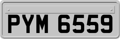 PYM6559