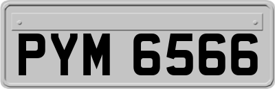 PYM6566