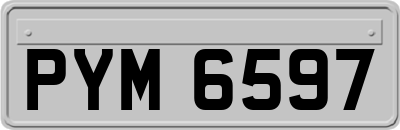 PYM6597