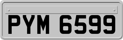 PYM6599