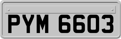 PYM6603