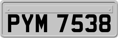 PYM7538