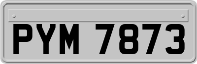 PYM7873