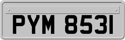 PYM8531