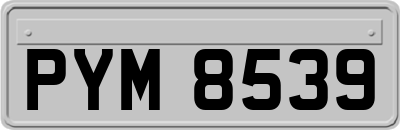 PYM8539