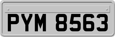 PYM8563