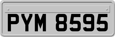 PYM8595