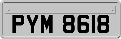 PYM8618